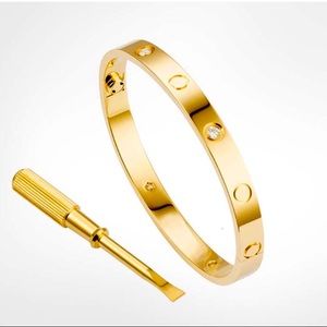 18k Gold Plated Love Bangle W/ Cubic Zirconia